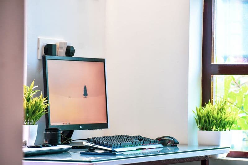 Nobreak para home office é necessário? Bright home office setup featuring a computer on a desk by the window with green plants.