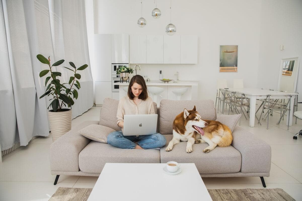 Mulher trabalhando no notebook no sofá com o cachorro deitado ao lado