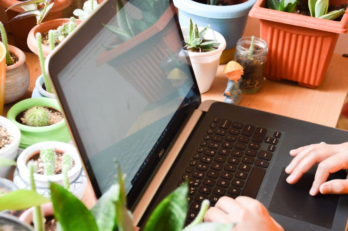 Pessoa trabalhando no laptop ao lado de plantas em um home office iluminado