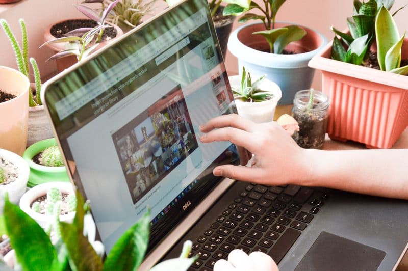 Plantas no home office fazem diferença na produtividade? A woman engaging in online activities on a laptop surrounded by houseplants.